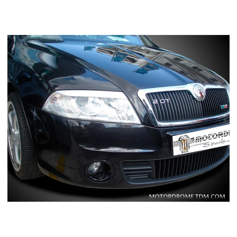 Pestañas De Faro Skoda Octavia Ii 2004-2008 (Abs)